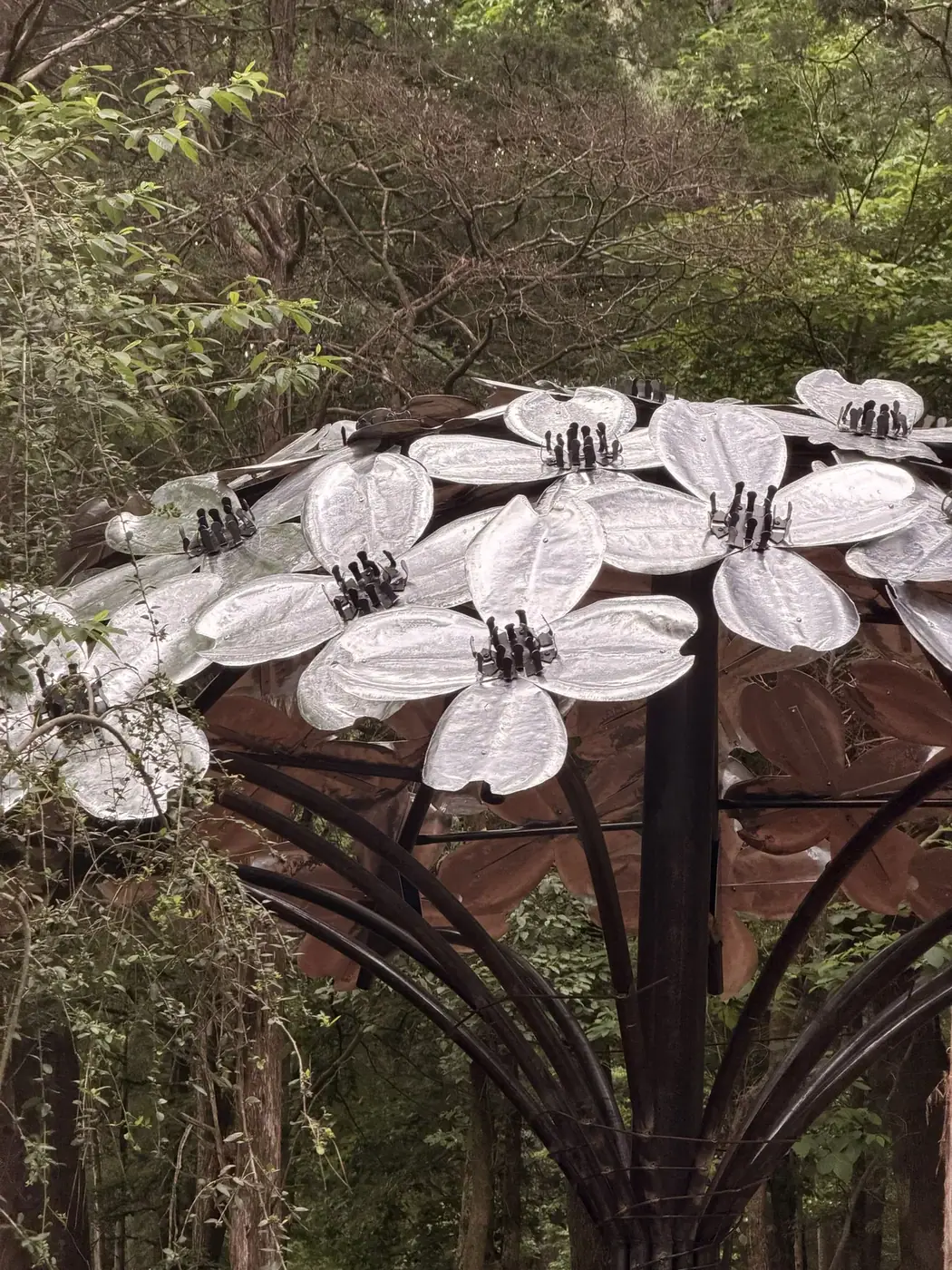 Bouquet of Dogwood Flowers, view 2